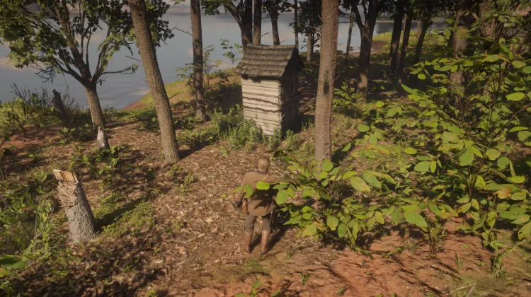 ब्रेथवेट्स का रहस्य