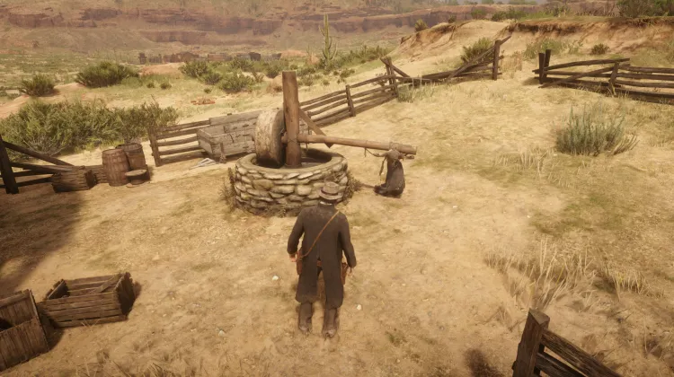 डंकी लेडी