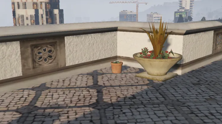 Peyote - Chicken Hawk