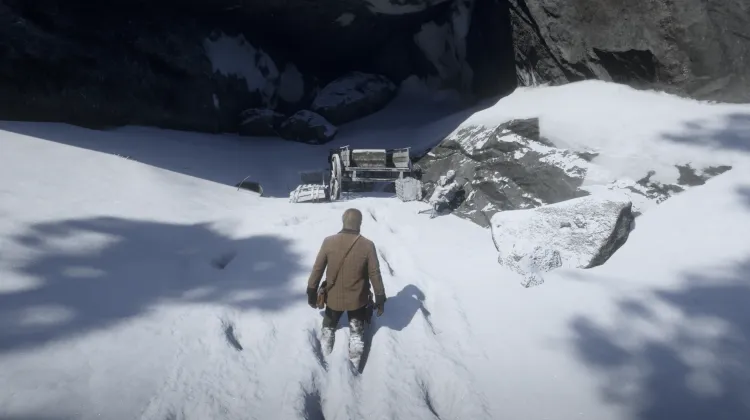 Madera Petrificada de Cobalto