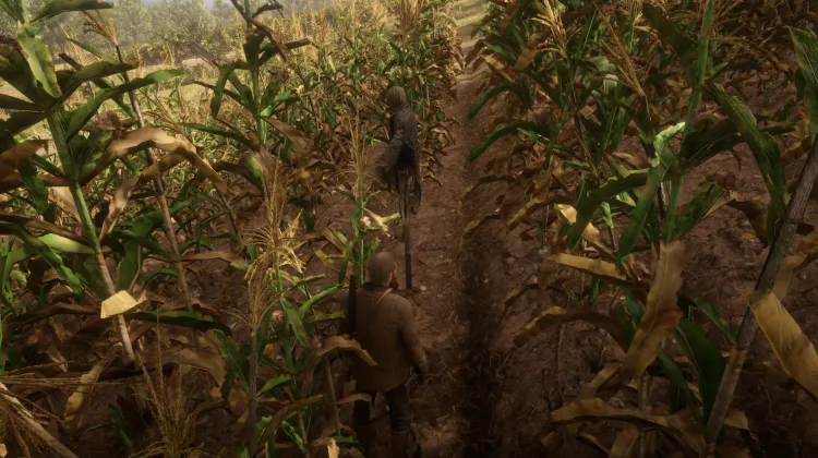 Sombrero de Espantapájaros