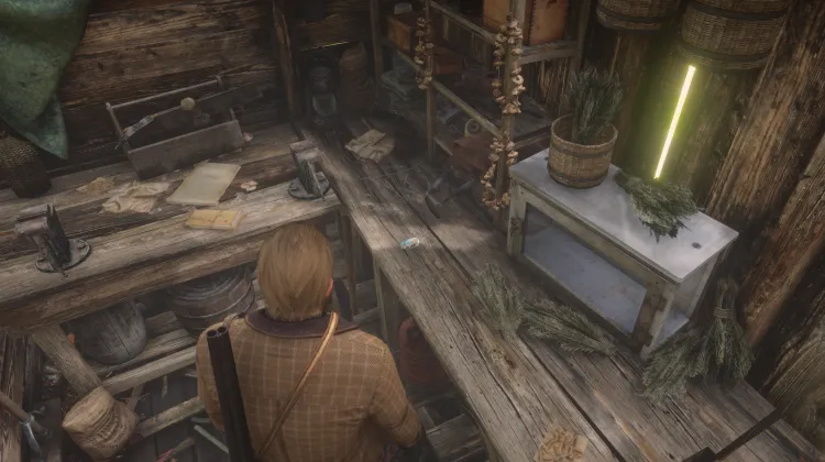 Fragmento de Concha de Abulón