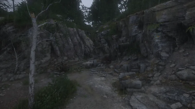 Überwucherter Steinbruch