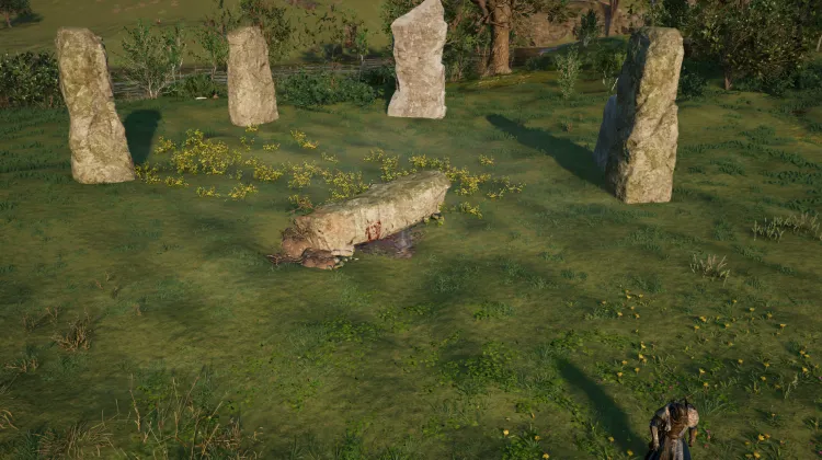 Norse-Gael Scheme (Arms)