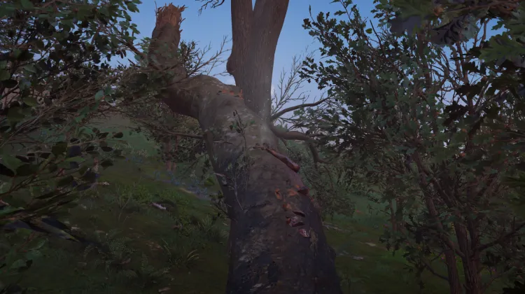 Clé du coffre de l'atelier