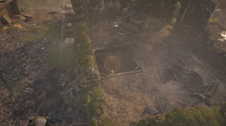 ไอริช วูล์ฟฮาวด์