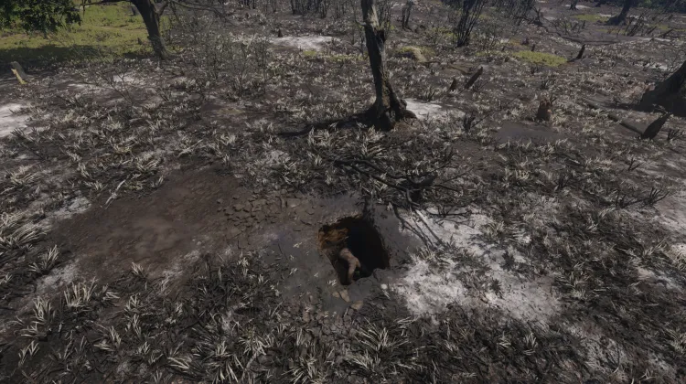 Niedergebrannte Falle