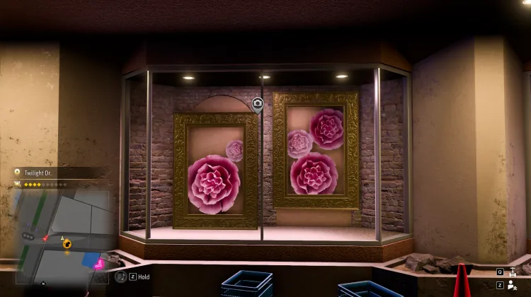 Étalage de Fleurs - Photo Rally