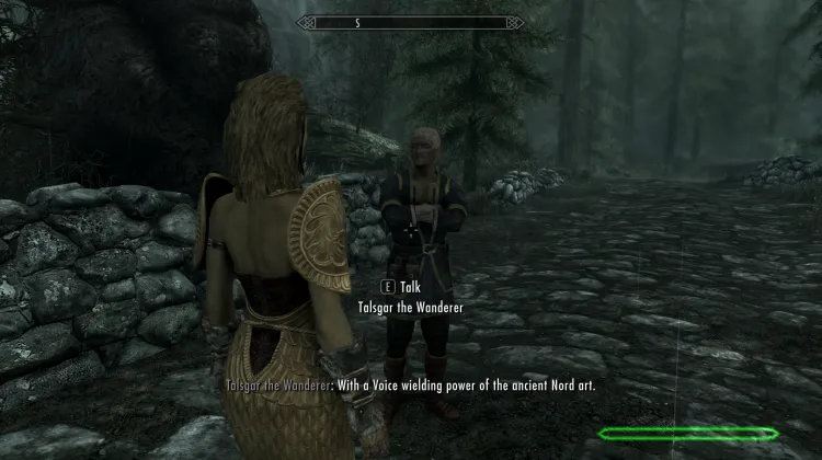 Talsgar the wanderer