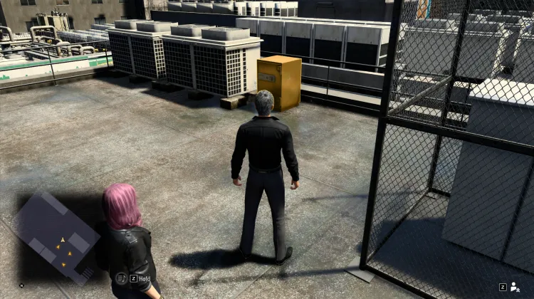 New Serena Dach - Goldtresor