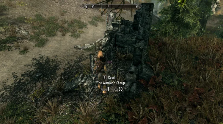 The Warrior's Charge