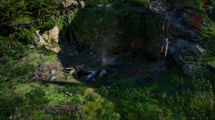 Schéma d'Alfheim (Torse)