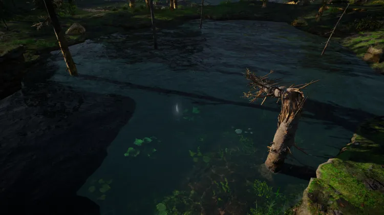 Pierre Précieuse Non Taillée