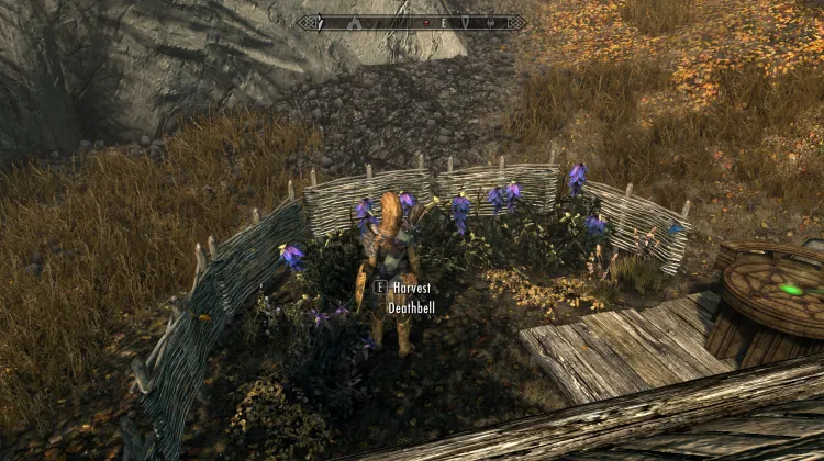 Deathbell and Nightshade