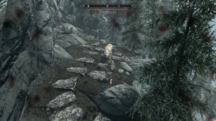 Chat sabre des neiges