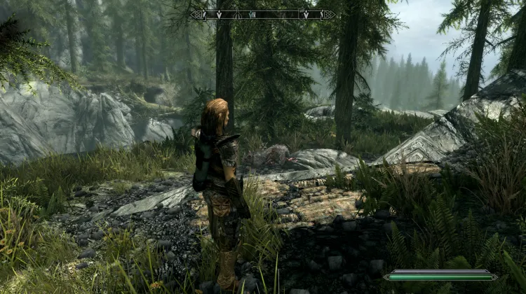 Veine de minerai de fer