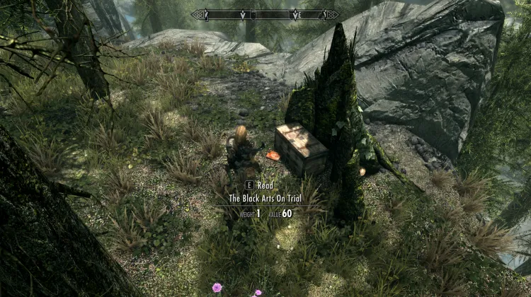 The black arts of trial