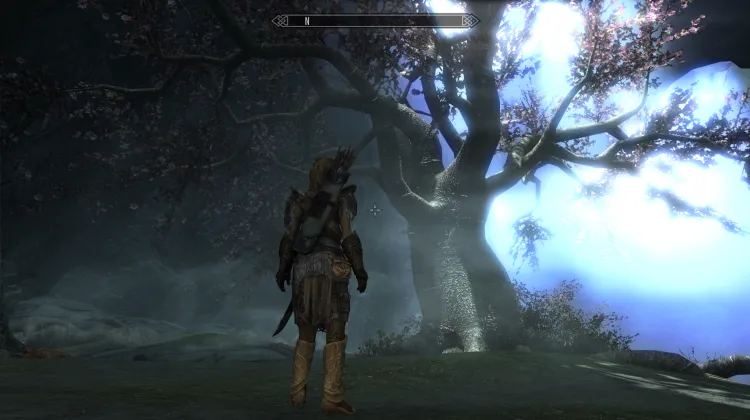 ต้นไผ่เอลเดอร์กลีม