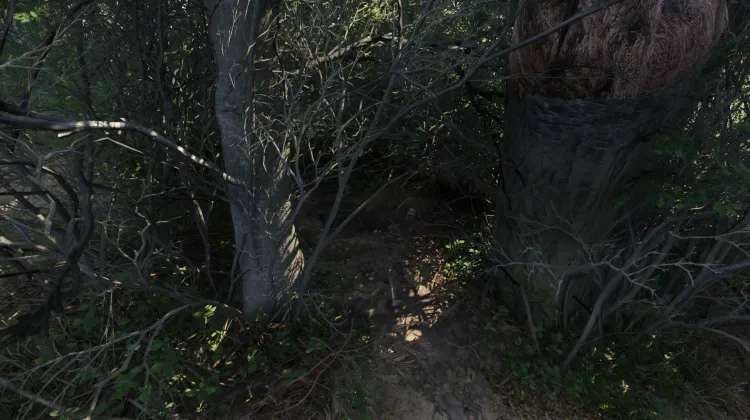 Squelette découvert