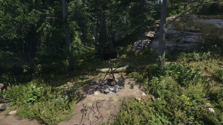 Campement près de la route