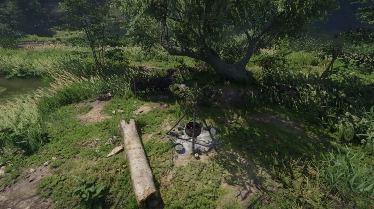 Campement près de la route