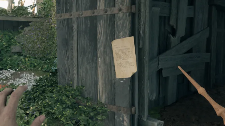 Metti alla prova il tuo coraggio!