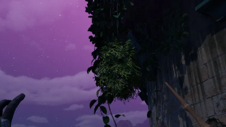 ขนของฮันต์