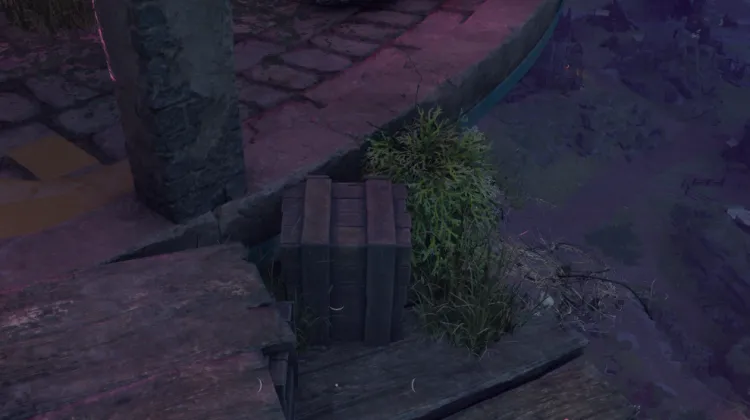 ขนของฮันต์