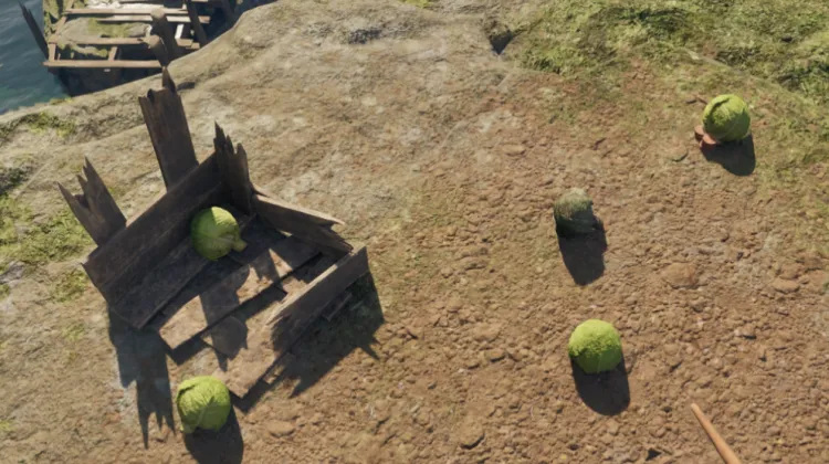 กะหล่ำปลี