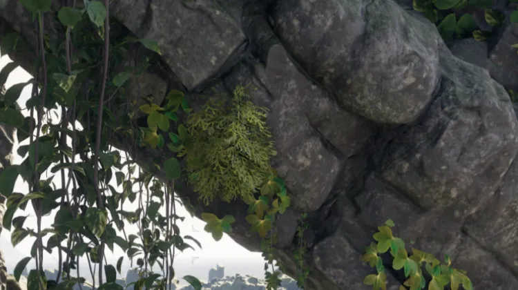 ขนของฮันต์