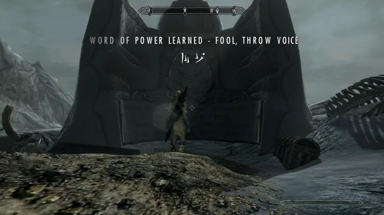 Sciocco, Lanciare Voce