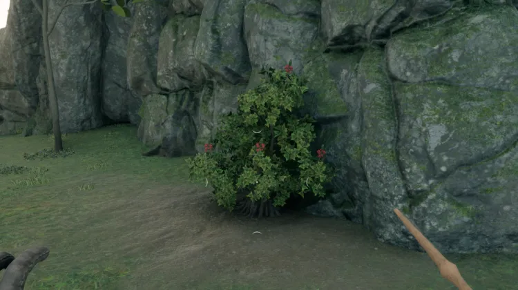 สปริงเบอร์รี่