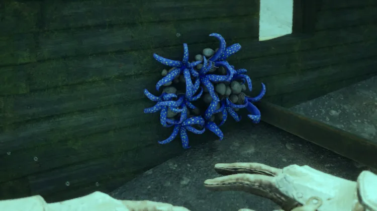 เขากรากเค่น