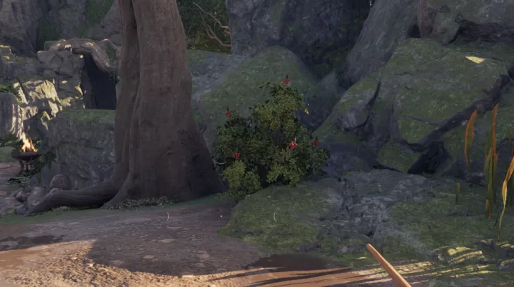 สปริงเบอร์รี่