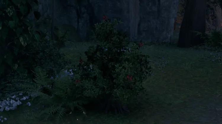 สปริงเบอร์รี่