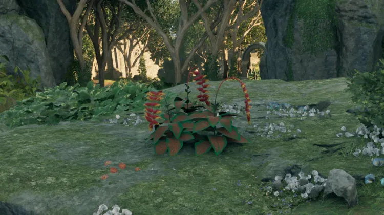 स्वर्गीय सीढ़ी