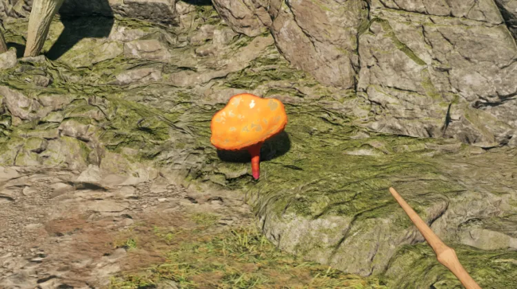 พรของแมกแรน