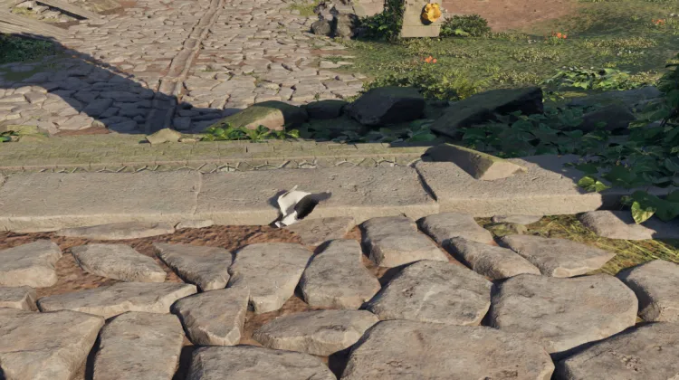 Metti alla prova il tuo coraggio!