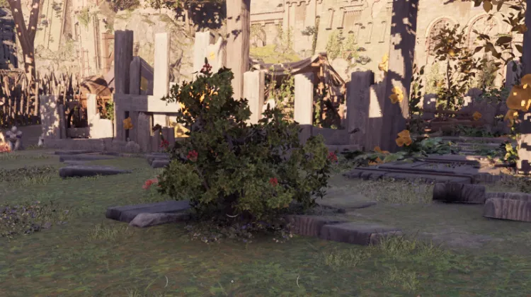 สปริงเบอร์รี่