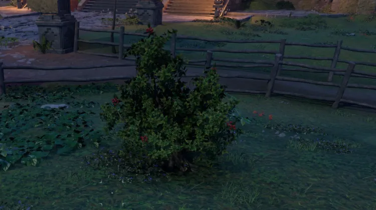 สปริงเบอร์รี่