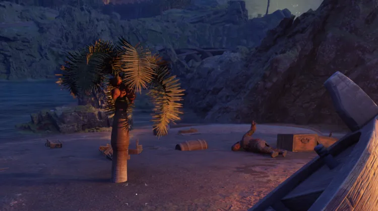 หินปาล์ม