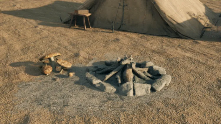 หญิงที่ถูกเผา