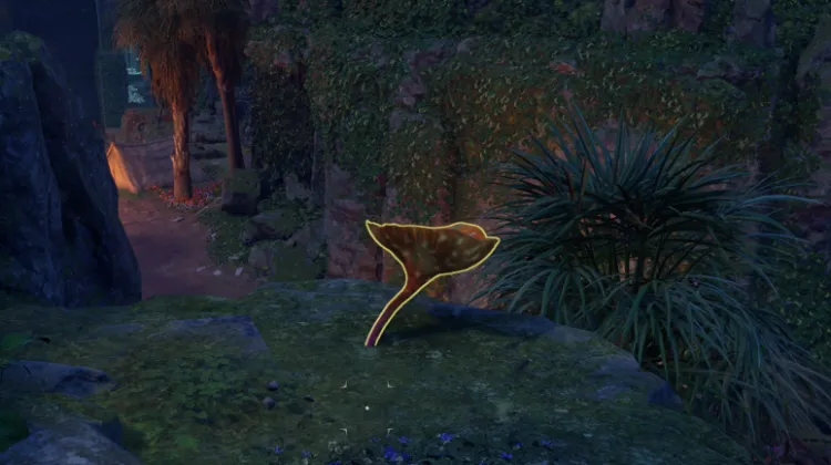 พรของแมกแรน