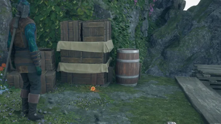 ยาฟื้นฟูสุขภาพ