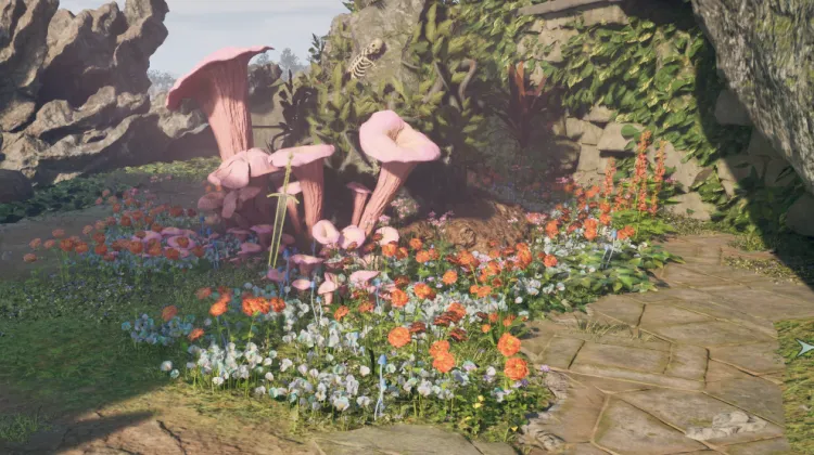 Philosopher's Riddle