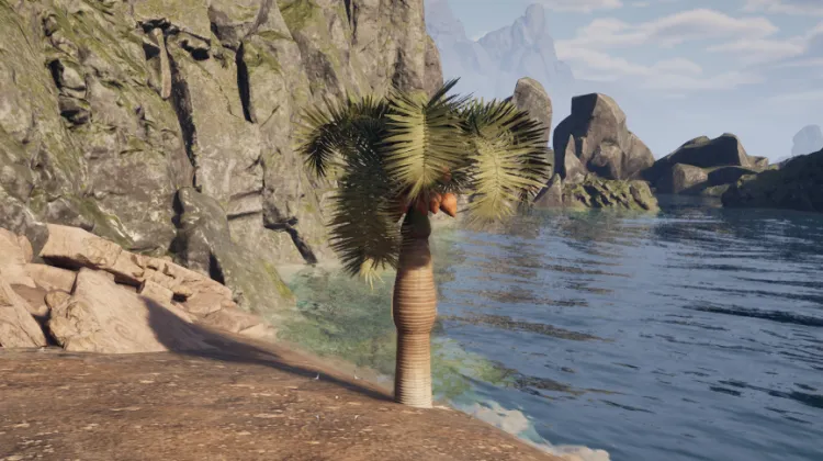 หินปาล์ม