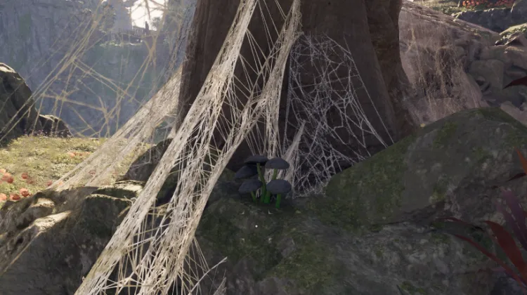 หญ้าเงา