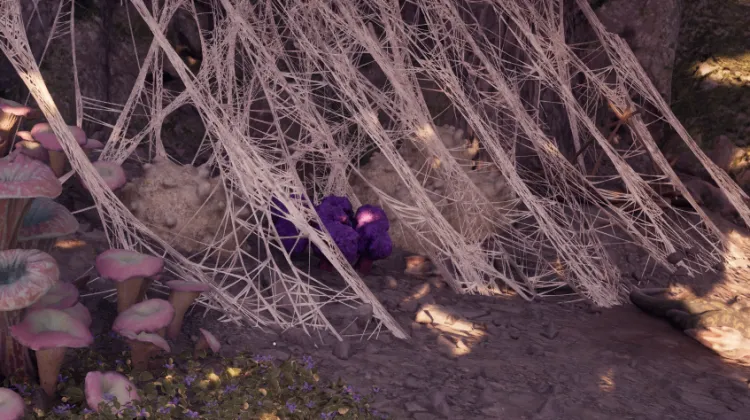 สปันจ์วิญญาณ