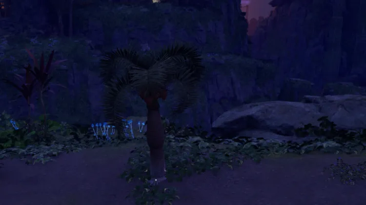 หินปาล์ม