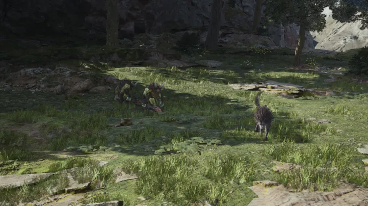 Orcs & Grassland Wolf